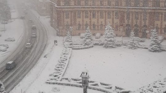 Cod galben de ninsori în județul Brașov