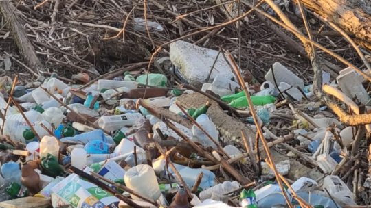 Măsuri dure pentru cei care mai aruncă gunoiul la întâmplare în municipiul Săcele