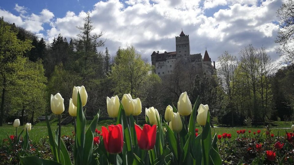"Noaptea Muzeelor", marcată printr-un tur gratuit la Castelul Bran. Brașov Underground Museum vă așteaptă cu muzică live și proiecții