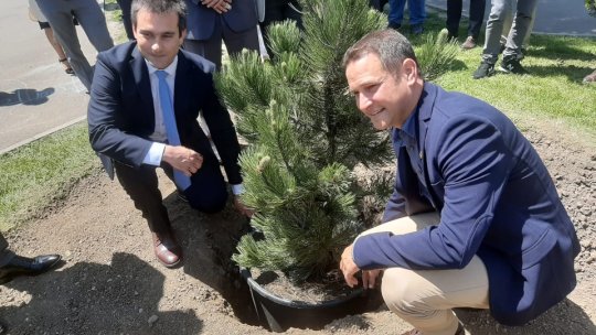 Pinul prieteniei. Primarul orașului israelian Rishon Le Zion, în vizită la Brașov (AUDIO)