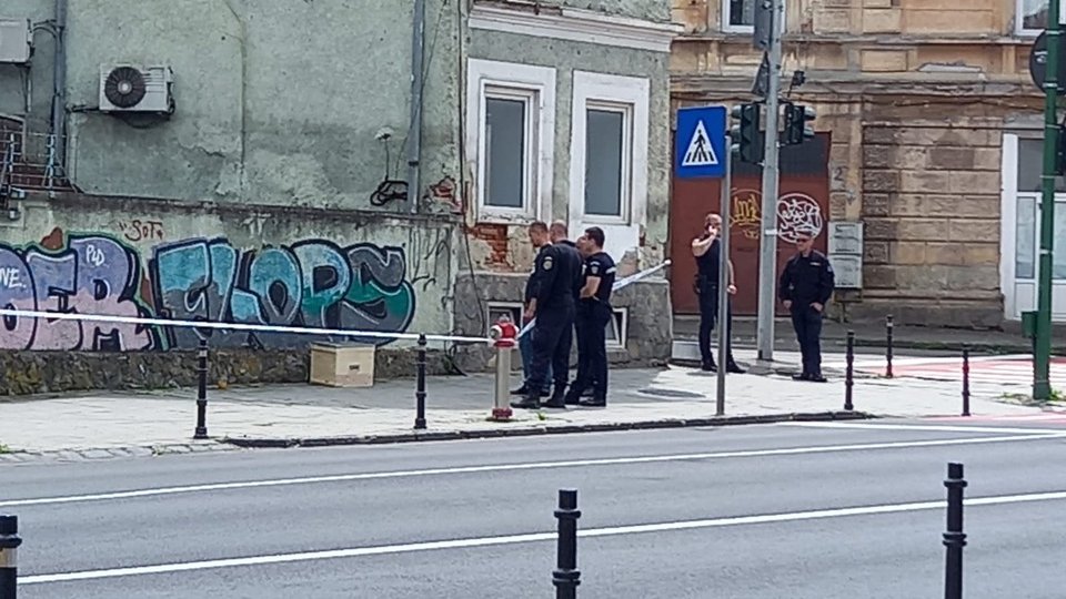 Intervenție mai puțin obișnuită pentru jandarmi: au păzit un roi de albine