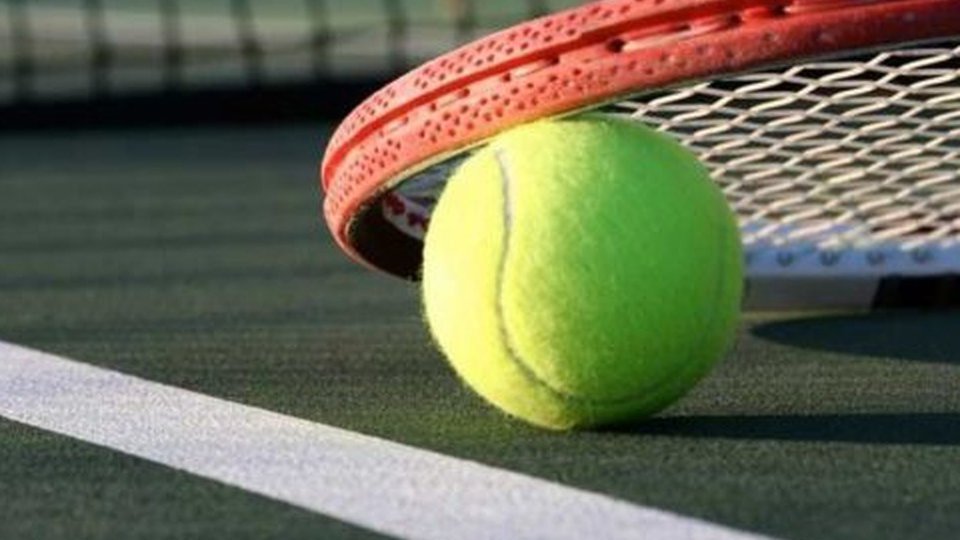 O româncă în semifinale la Roland Garros