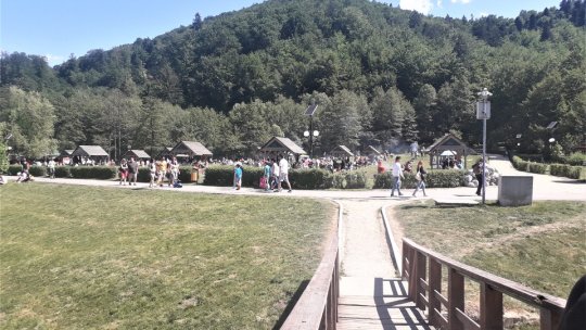 Hai la un picnic cu grătar, în Brașov!