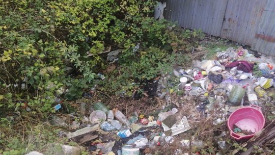 Un brașovean riscă 6000 de lei amendă pentru că și-a transformat grădina într-un focar de infecție