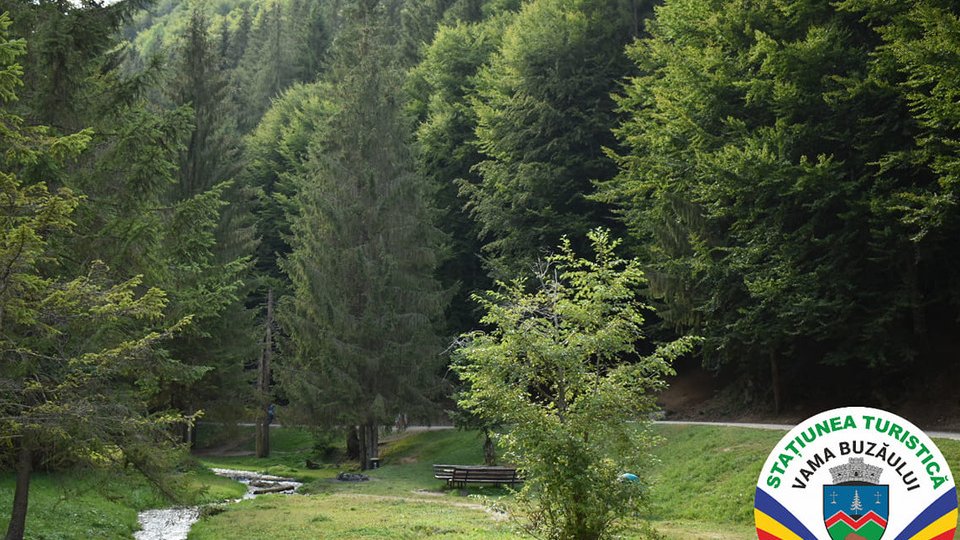 Camere la munte, nou proiect demarat la Vama Buzăului (AUDIO)