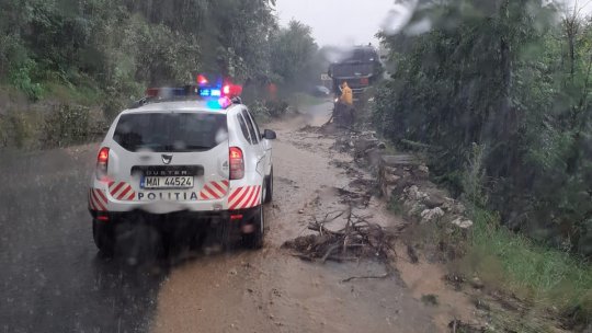 Se circulă cu dificultate în zona Moieciu " Fundata, din cauza aluviunilor și copacilor căzuți pe carosabil (VIDEO)