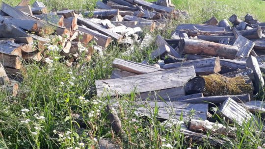 Reducerea cotei TVA de la 19 la 5% la comercializarea lemnului de foc pentru populație, aviz favorabil din partea Comisiei pentru agricultură