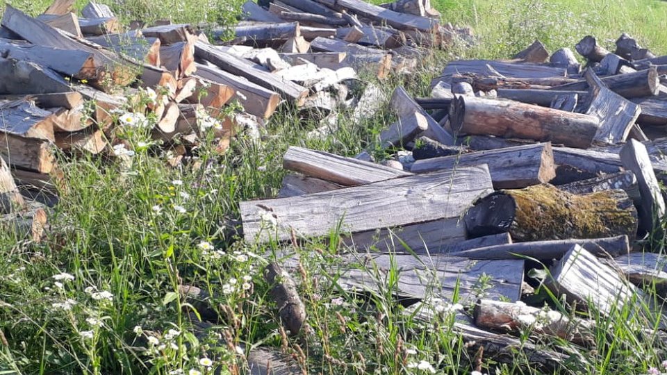 Reducerea cotei TVA de la 19 la 5% la comercializarea lemnului de foc pentru populație, aviz favorabil din partea Comisiei pentru agricultură