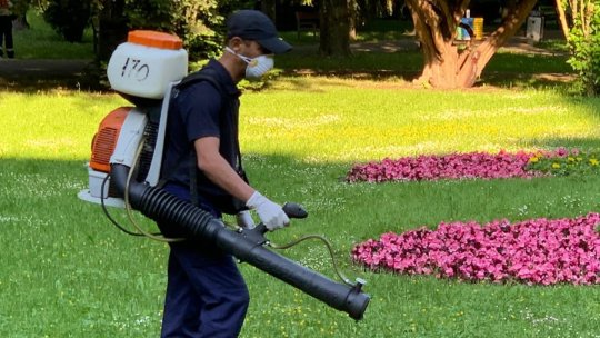 Campanie de dezinsecţie în municipiul Săcele. Apicultorii sunt rugaţi să ia măsurile necesare pentru protecția albinelor