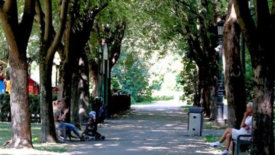 Brașovenii vor putea sta pe iarbă în parcuri! Va fi permis și accesul cu role și biciclete