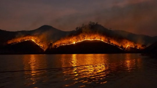 Alerte de caniculă în Grecia și Bulgaria. Incendii de vegetație în Grecia și Turcia