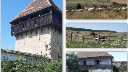 Reîntinerirea satului Cobor, cea mai veche localitate din județ, un obiectiv important al Asociației Carpathia