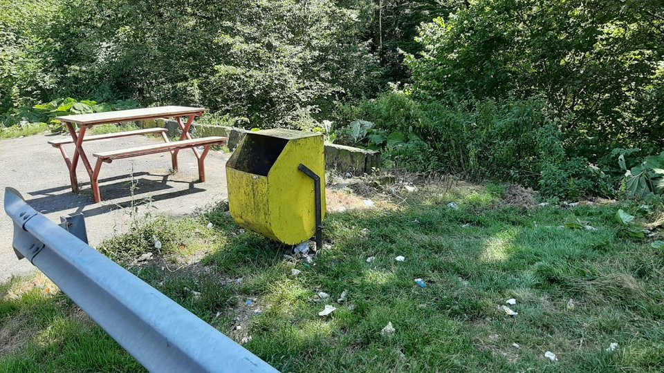 Gunoaiele au invadat Cotul Donului, de pe DN1