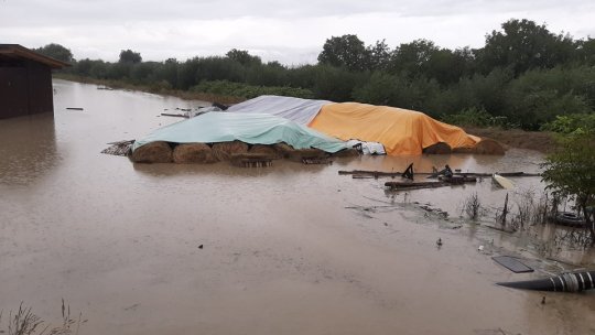 Intervenție pentru evacuarea apei din mai multe gospodării, la Stupini (VIDEO). Cum să te protejezi de inundații