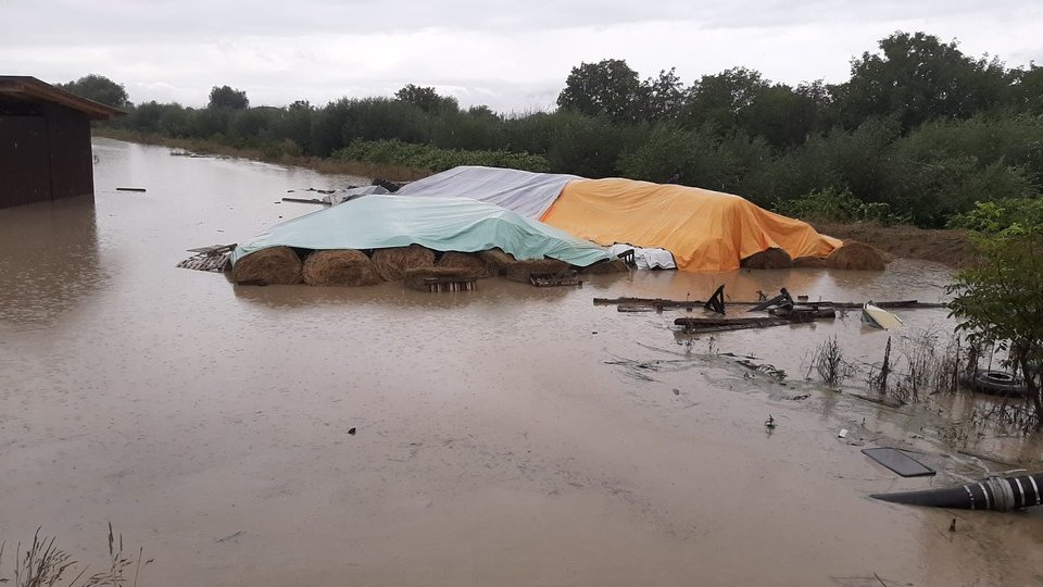 Intervenție pentru evacuarea apei din mai multe gospodării, la Stupini (VIDEO). Cum să te protejezi de inundații