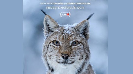 Brașoveni premiați la TIFF. Cel mai bun documentar de lung metraj - România Sălbatică (AUDIO / VIDEO)