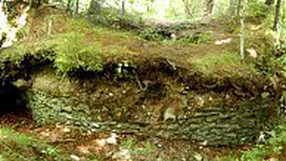 Obiectiv turistic nou, pe ruinele unei vechi cetăți din Țara Făgărașului: Cetatea lui Negru Vodă (VIDEO)