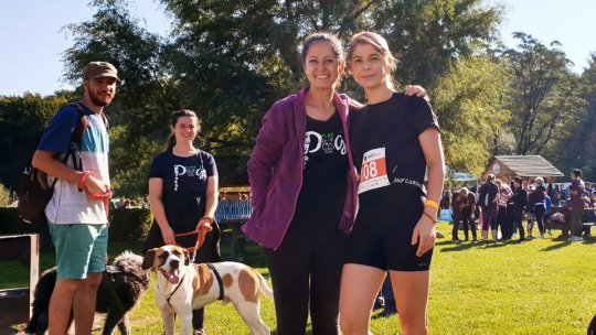 Geriatrie pentru câini la Prejmer