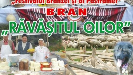 Răvășitul Oilor, în weekend, la Bran