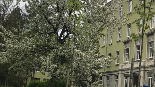 Fără test Covid la cazarea în căminele Unitbv