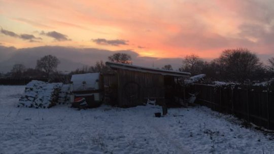 De unde își pot cumpăra cetățenii lemne de foc pentru încălzirea locuințelor