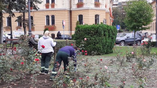 Ziua Mondială a Curățeniei, marcată și de brașoveni. Cât de curat este Brașovul în ochii locuitorilor (AUDIO)