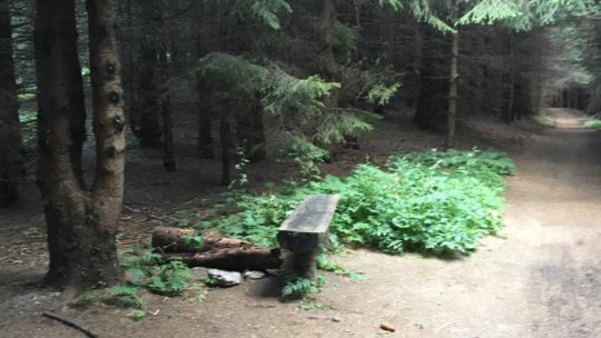 Soarta alternativelor la proiectul Gorița, decisă cu formulare online