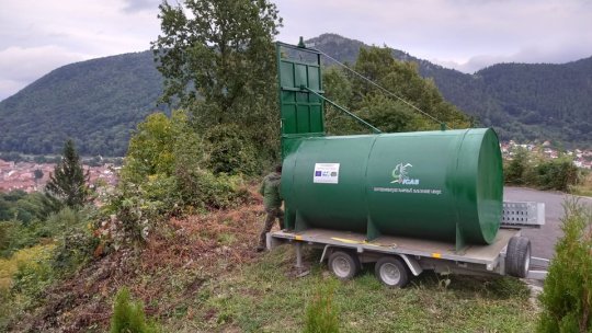 Municipalitatea vrea să cumpere 2 capcane pentru urși. Sunt 20 de exemplare pe care le vrea relocate în fondul forestier