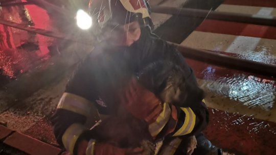 Incendiu la Râșnov. Pompierii au intervenit cu 11 autospeciale