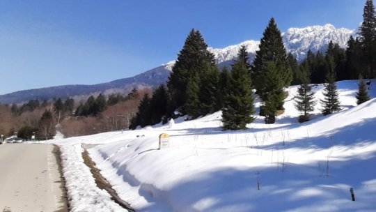 Fără blocuri în Poiană, solicită Asociația de Turism Poiana Brașov