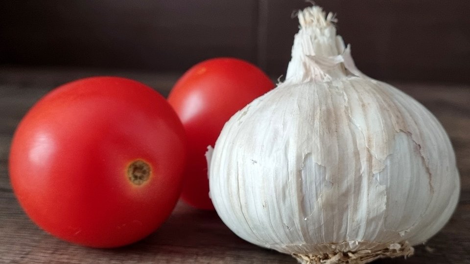 Subvenții de mii de euro pentru programele "Usturoiul" și "Tomata"