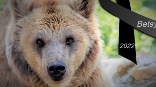 A plecat, în Ursa Mare, și Betsy, artista de circ din SUA