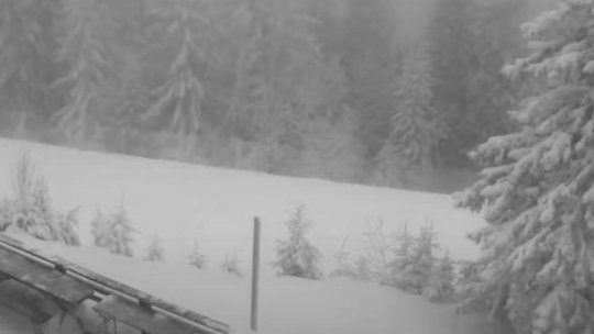 Ceață densă, în această dimineață, în Postăvaru. Starea zăpezii este bună