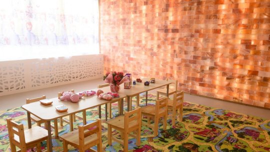 Grădiniță cu salină artificială, în comuna Cristian