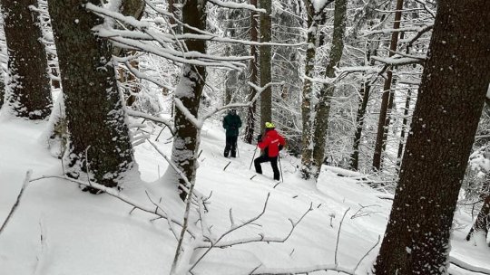 Rătăciți cu schiurile prin pădure, au avut nevoie de ajutorul salvatorilor montani brașoveni