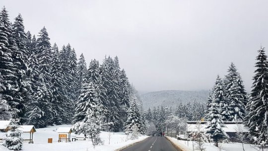 Porțiunea covăsneană din viitoarea Autostradă Brașov - Bacău a primit certificat de urbanism