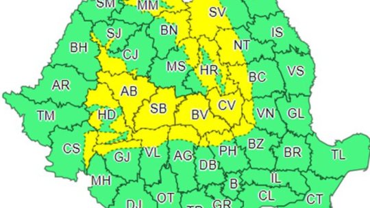 Cod galben de vânt puternic