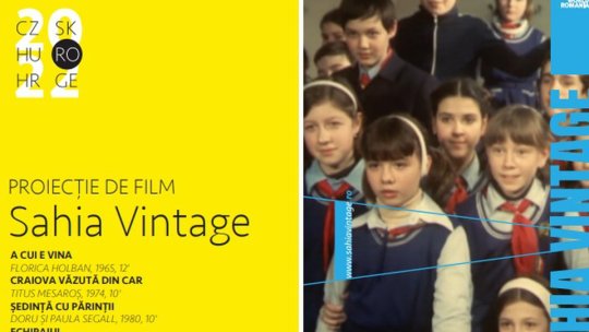 Scurtmetraje din perioada anilor 1950-1990, la Brașov