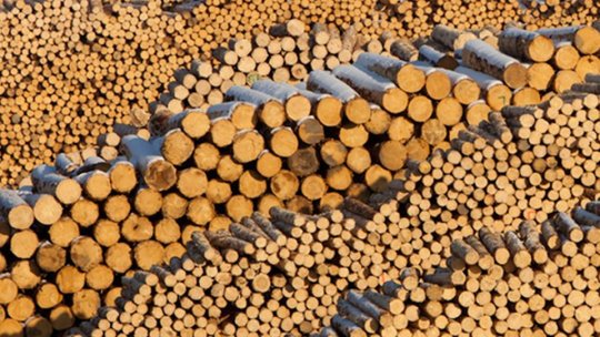 De astăzi, prețul lemnului de foc se plafoneazăla 400 de lei metrul cub