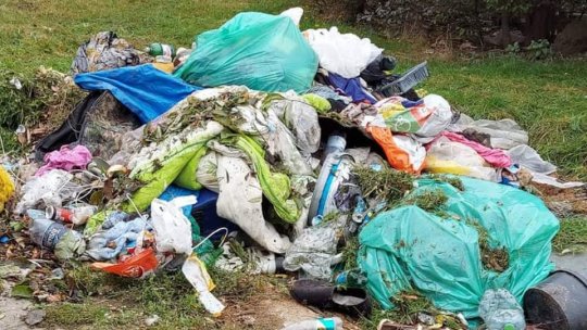 Gunoaiele din Maramureș, "exportate" la Brașov. Primăria ar fi de acord, ADI ISO Mediu se opune