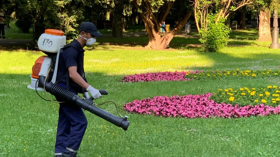 Primăria caută prestator de servicii de dezinsecție și deratizare