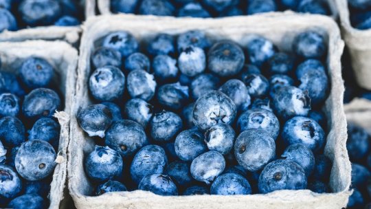 Brașovul are aproape 12.000 de hectare de culturi ecologice