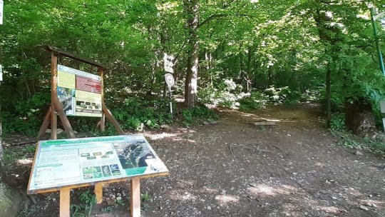 Turism sustenabil, la Brașov