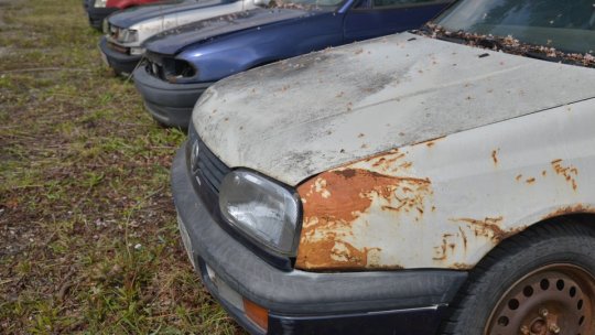 Municipalitatea ar vrea să ajute brașovenii să caseze 1000 de rable