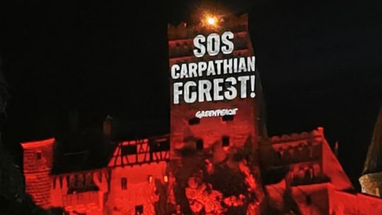 "SOS Carpathian Forest!", mesajul Greenpeace către miliardarii planetei