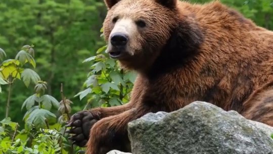 Vineri, "Lecție la înălțime" de la Sanctuarul Libearty