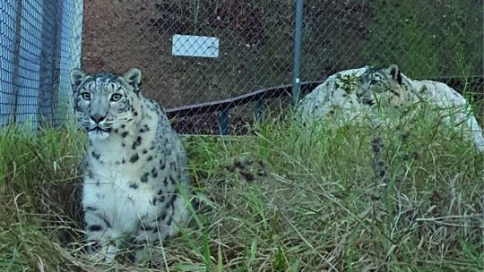 Grădina Zoologică din Brașov trece la programul de iarnă