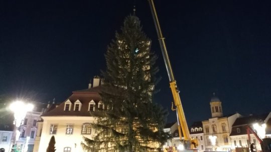 Bradul de Crăciun va fi adus în această seară în Piața Sfatului