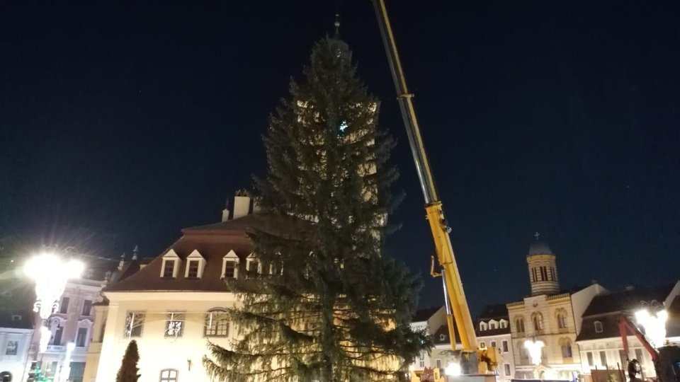 Bradul de Crăciun va fi adus în această seară în Piața Sfatului