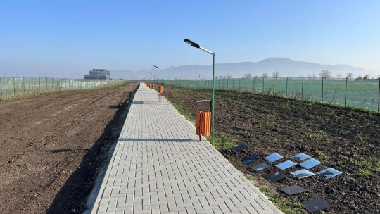 Cimitir pentru animalele de companie, la Codlea